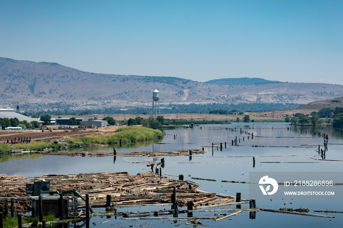 View of a swamp and moat along the Klamath River Klamath Falls Oregon