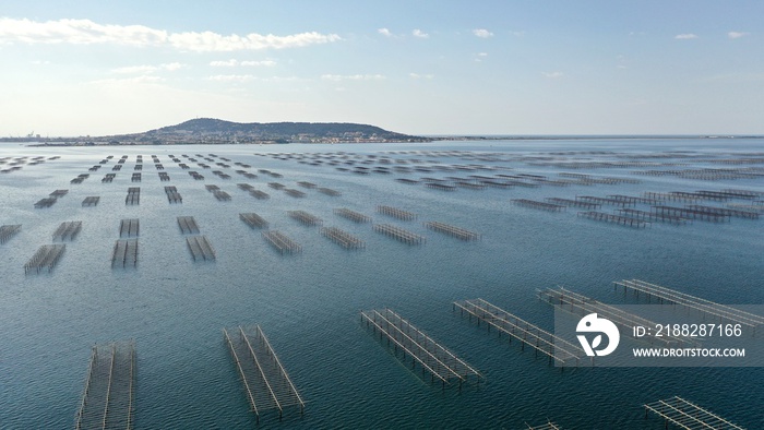 survol des parcs à huitres à Sète au dessus du bassin de Thau en Occitanie