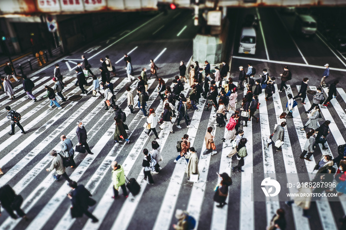 大阪の横断歩道