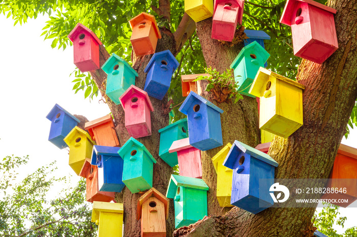 Colorful Bird Houses. Houses for birds. Lodges for a wintering of birds