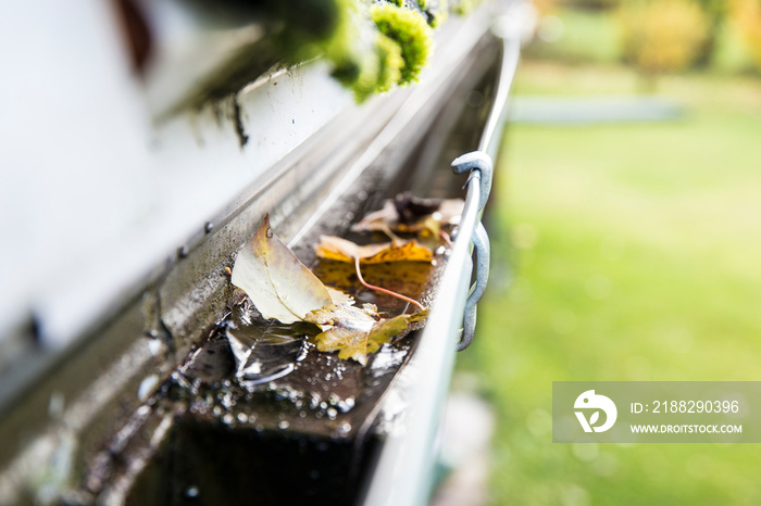 Rainwater gutter cleaning concept. Clogged rainwater drainage system on private domestic home house roof outdoors in autumn. Autumn chores concept.