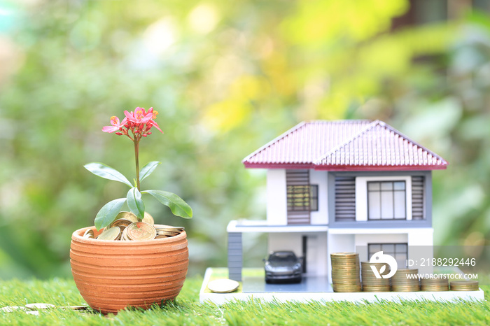 pink flowers with stack of coins money and model house on natural green background, Interest rates and Business investment concept