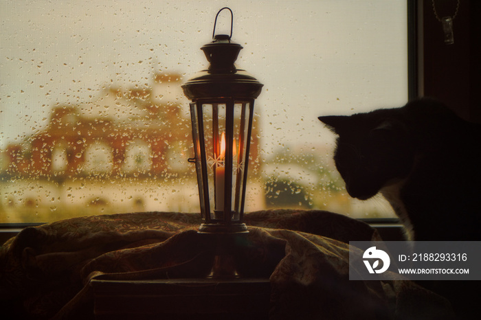 Old candle lamp on window with rain drops, silhouette of pet cat and view of historic architecture of Novi Sad city in Serbia on a rainy day