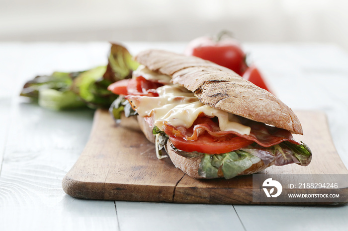 Tasty Sandwich on white background