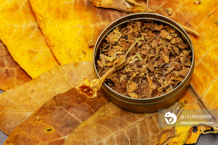 Shredded tobacco in a tin box and high quality cured big leaves to make cigars