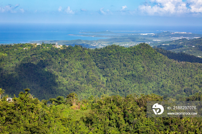 El Yunque National Forest Puerto Rico scenic view