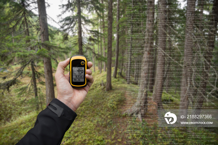 A trekker is finding the right position in the forest via gps in a cloudy autumnal day