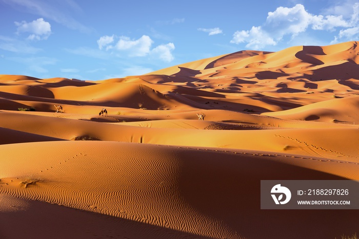 In der Wüste Erg Chebbi in Marokko