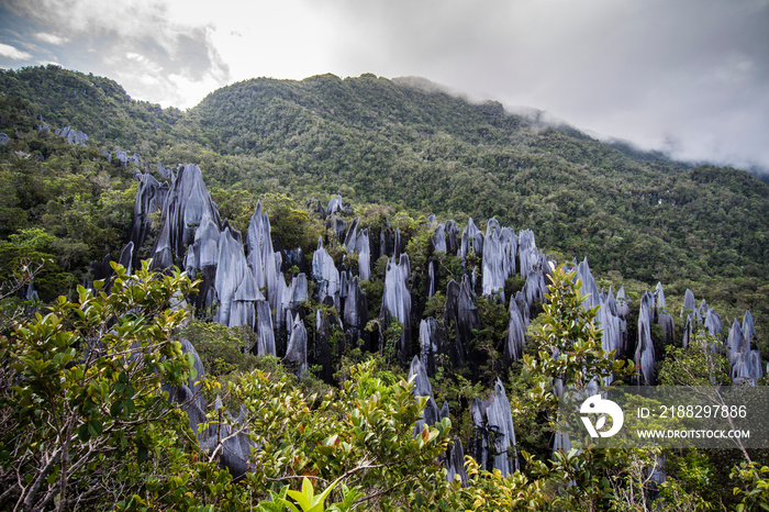 Pinnacles in Gunung Mulu National Park Borneo Malasia.