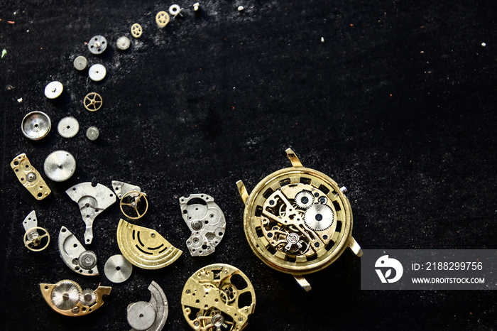 The process of repair of mechanical watches