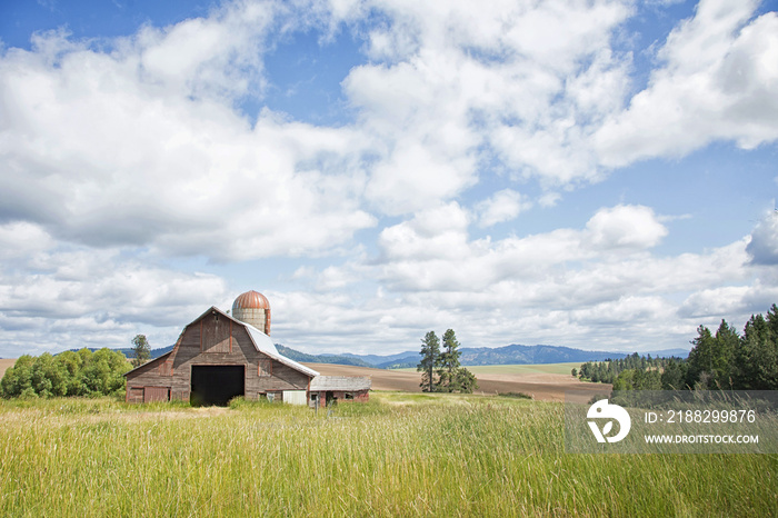 Original photograph of a rustic barn in a field of summer grass with a sweeping sky of billowing clouds