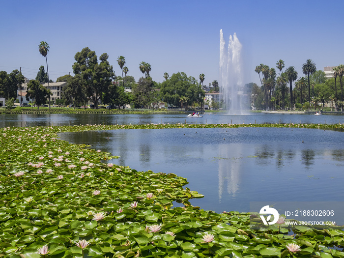 The beautiful Echo Park Lake