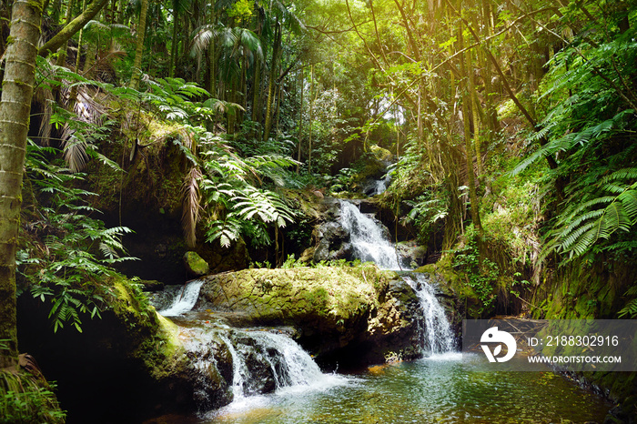 奥诺梅亚瀑布位于夏威夷大岛上的夏威夷热带植物园