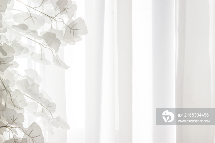 白色窗帘背景下的白色树叶