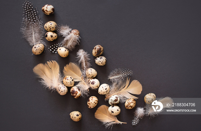 Quail eggs with beautiful feathers on a black background.