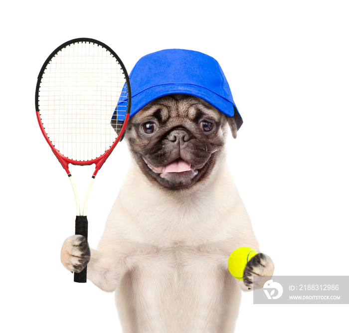 戴着网球拍和球的帽子的有趣小狗。隔离在白色背景上
