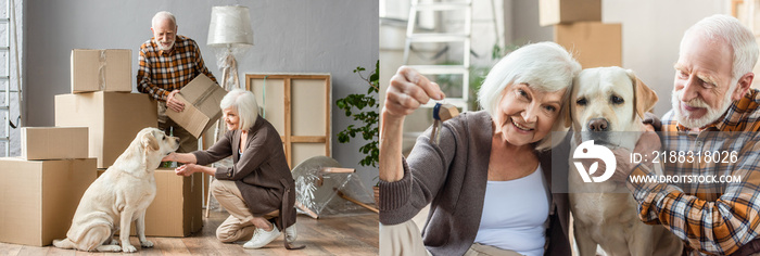 collage of senior couple petting dog and woman holding keys, moving concept