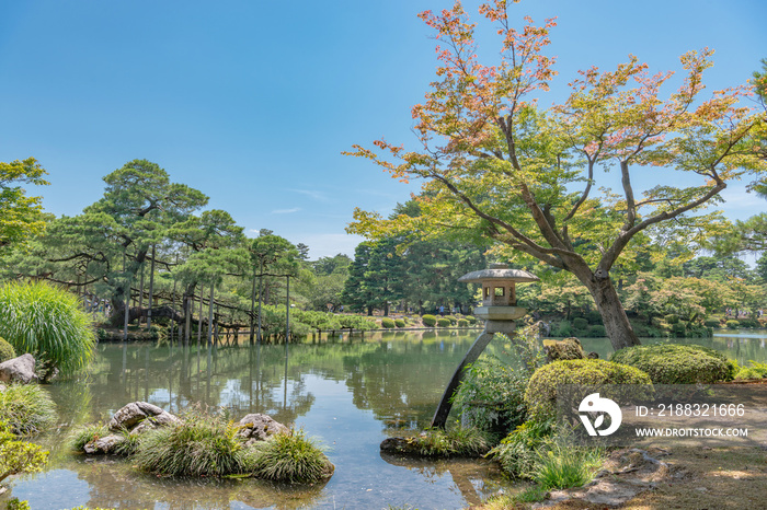 兼六園夏景色