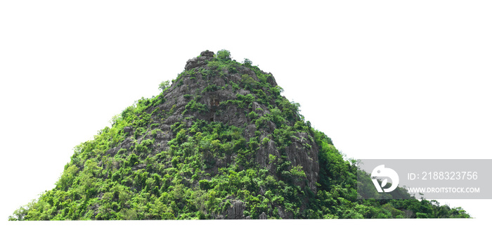 mountain rock with forest at thailand isolate on white background