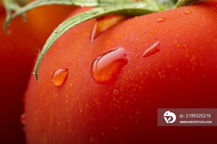 Red tomato and drops water close up