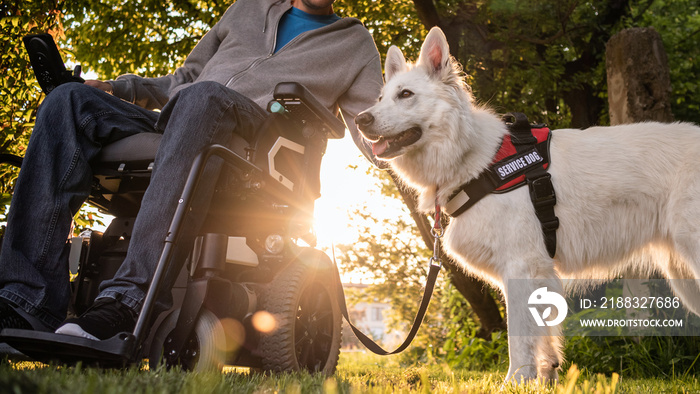 残疾男子和他的服务犬使用电动轮椅。