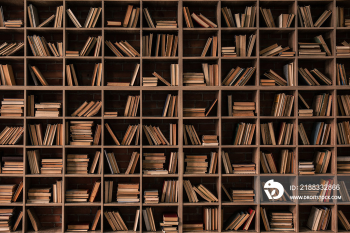 Books on shelves in library