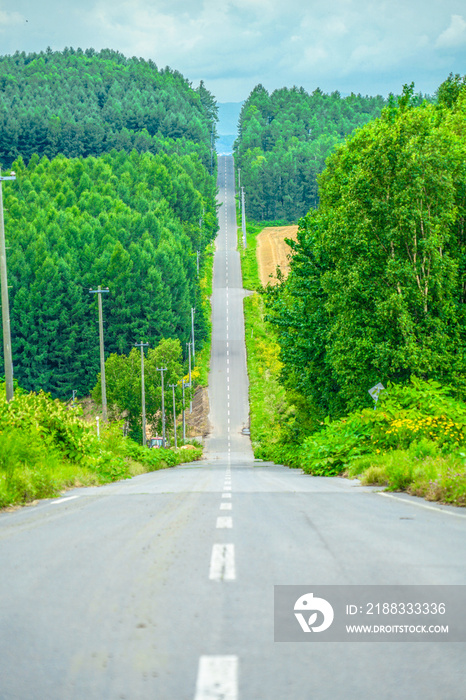 北海道の長い道と自然