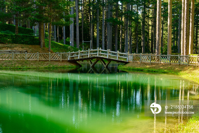 Il ponte di legno che si riflette nel laghetto del Parco Naturale della Sila Piccola, Calabria, Ital