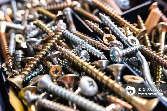 Macro of many silver and gold screws of different sizes.