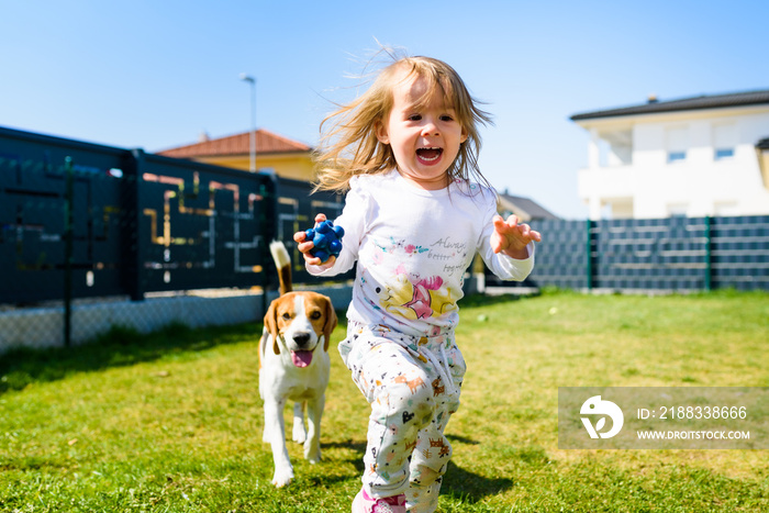 阳光明媚的春天，孩子和比格犬最好的朋友在后院玩耍。