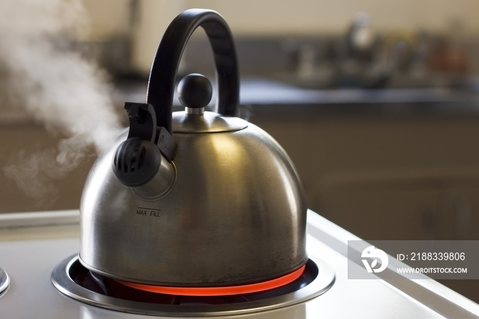 Steaming Tea Kettle