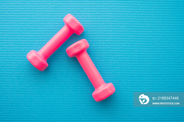 Flat lay of pink dumbbells for fitness exercise on blue yoga mat background in fitness center - Heal