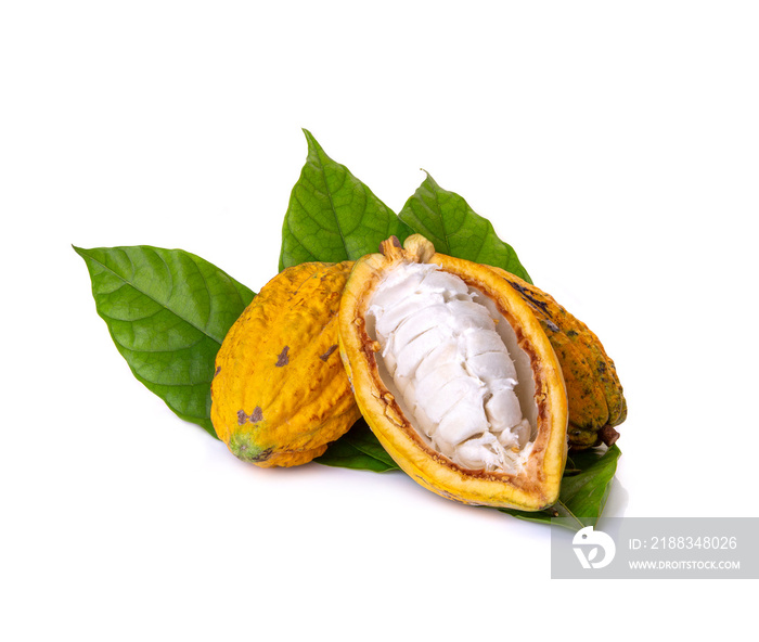 Various of Fresh cocoa fruits with half sliced and green leaf isolated on white background