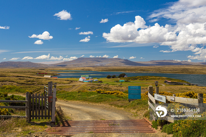 Darwin, Falkland Islands