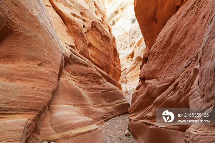 Little Wildhorse Canyon - Utah