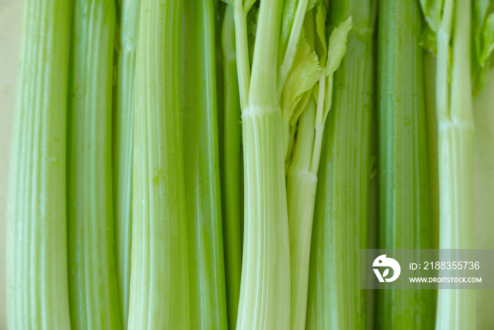 Full frame overall pattern of light green celery stalks