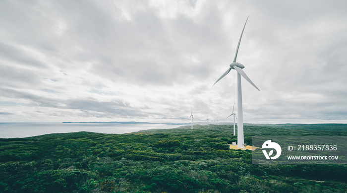 Electric power production windmills on Albany, Western Australia .