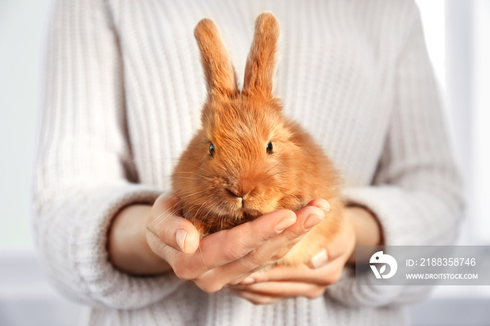 Woman holding cute fluffy rabbit, closeup