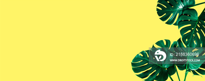 top view of tropical monstera leaf shadow on yellow color background. minimal summer concept. flat l