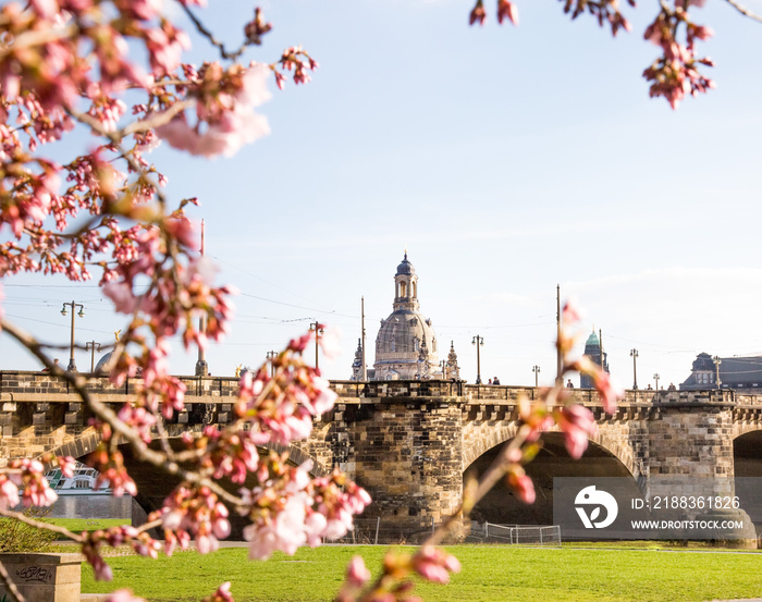 Frühling in Dresden,