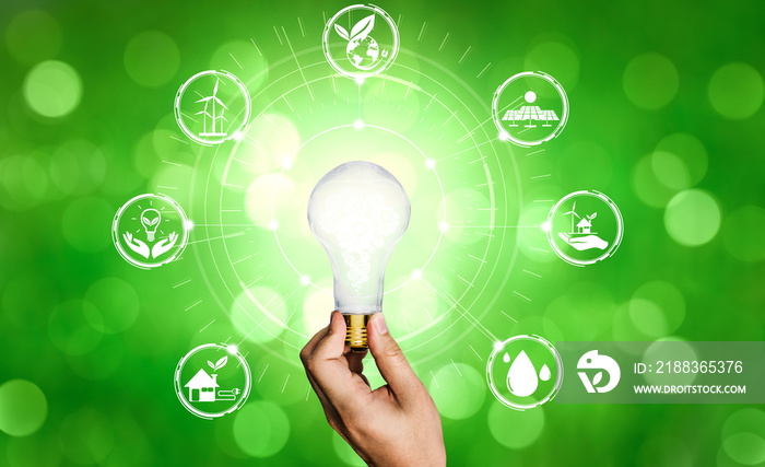 具有未来发电行业图标图形界面的绿色能源创新灯泡。