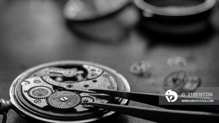 Mechanical watch repair process. Watchmaker