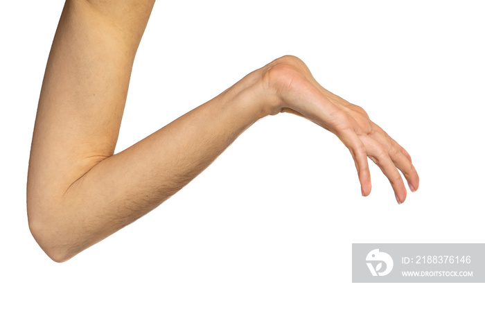 hands isolated on white background