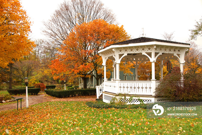 White Gazebo and autumn trees in the park