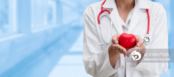 Doctor holding a red heart at hospital office. Medical health care and doctor staff service concept.