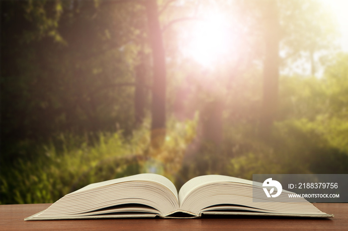 Open book on wood planks over abstract light background