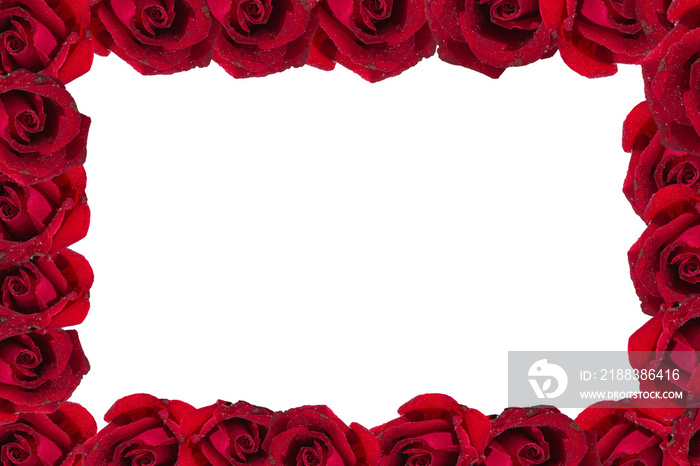 白色背景上的玫瑰花框