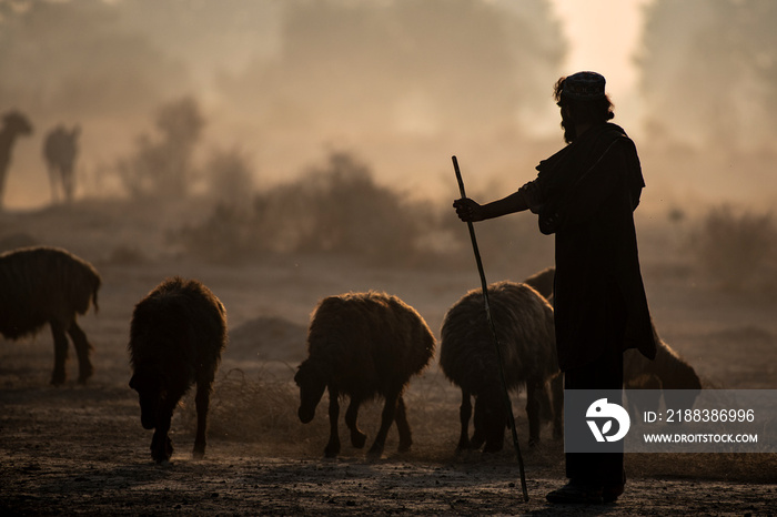 silhouette landscape with shepherd and sheep herd , shepherds from Baluchistan in sunrise