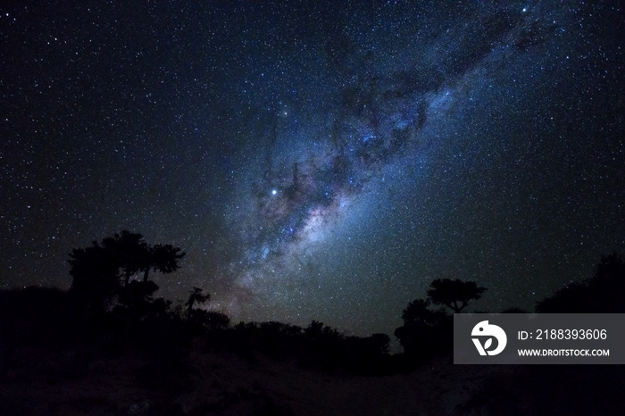 从马达加斯加阿纳考看到的棕榈树上银河系的星夜剪影