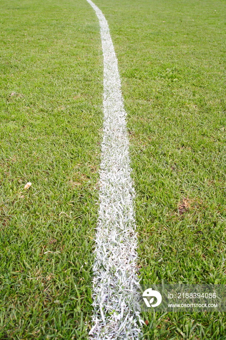 Painted White Boundary Line on a Sportsl Field